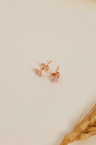 Puces - Doré rose