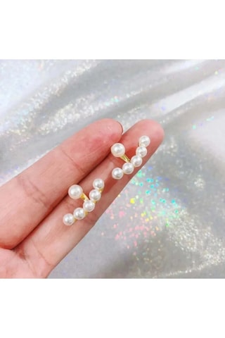 Puces - Zircons