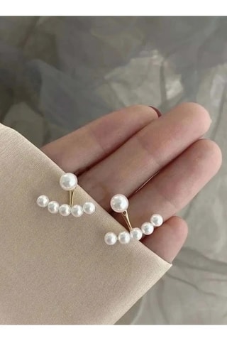Puces - Zircons
