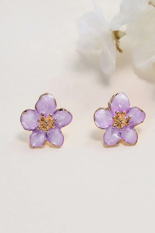 Puces - Zircons