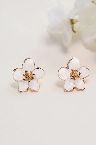 Puces - Zircons