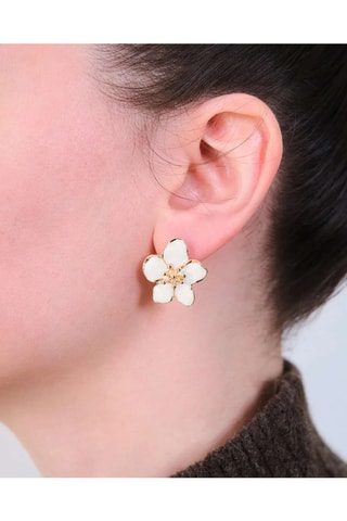 Puces - Zircons