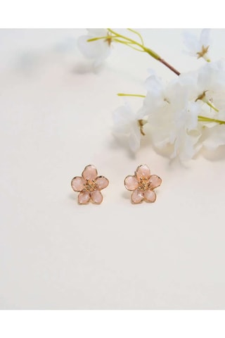 Puces - Zircons