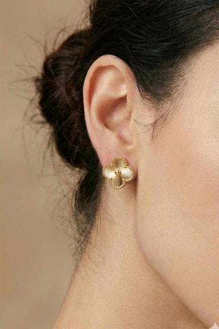 Puces - Zircons