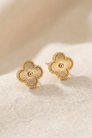 Puces - Zircons