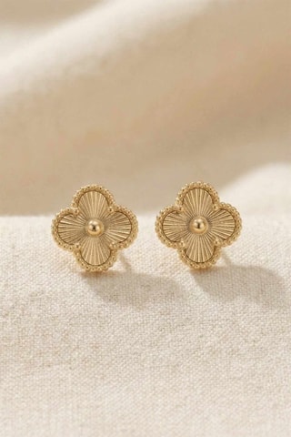Puces - Zircons