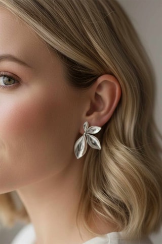 Boucles d’oreilles - Argenté