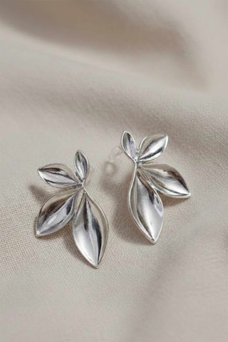 Boucles d’oreilles - Argenté