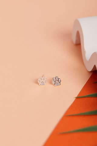 Puces - Argent