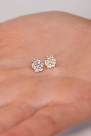 Puces - Argent