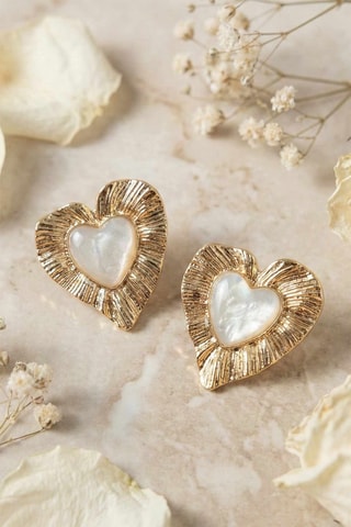 Puces - Zircons