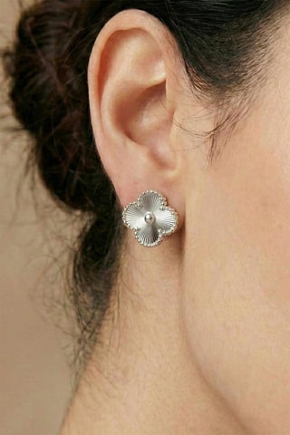 Puces - Zircons