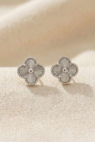 Puces - Zircons