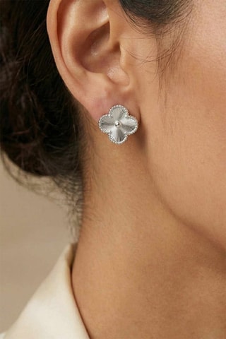 Puces - Zircons
