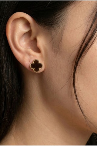 Puces - Marron