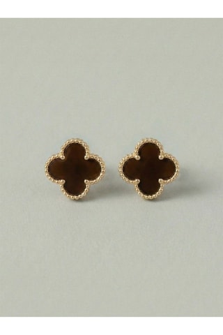 Puces - Marron