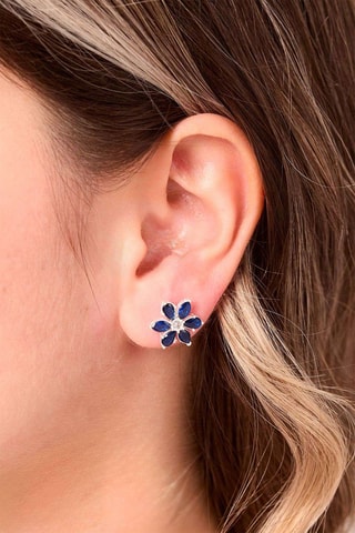 Puces - Argent et zircons