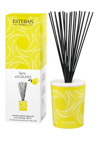 Ambientador de varillas «Tierra cítrica» - 100 ml