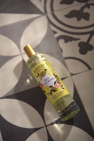 Ambientador de varillas «Tierra cítrica» - 100 ml