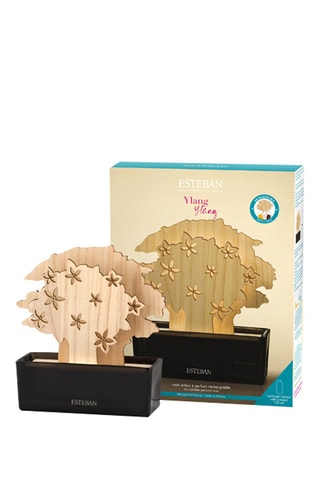 Estuche ambientador de madera maciza y recarga - Ylang-ylang - 150 ml