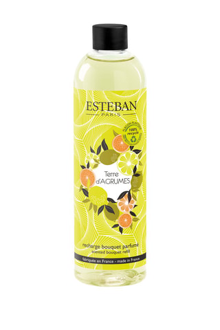 Recarga de ambientador de varillas «Tierra cítrica» - 250 ml