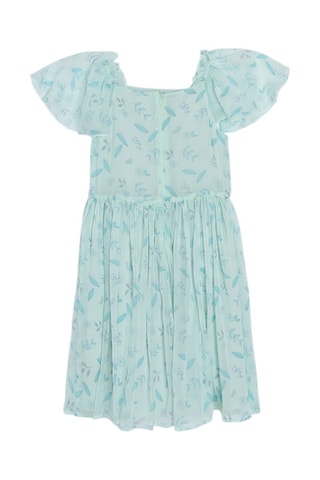 Robe Vert