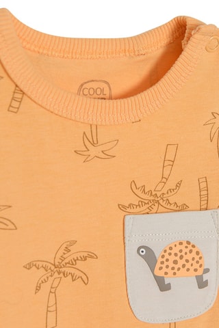 Body Orange