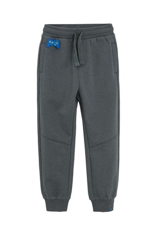 2 pantalons - Gris et bleu cobalt