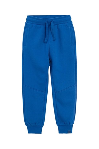 2 pantalons - Gris et bleu cobalt