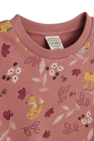 Sweat - Rose