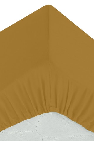 Sábana bajera de percal de algodón 80 hilos/cm² - Ocre