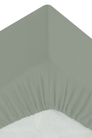 Sábana bajera de percal de algodón 80 hilos/cm² - Salvia