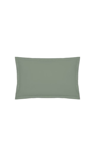 Funda de almohada de percal de algodón 80 hilos/cm² - Salvia