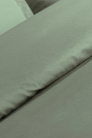 Funda de almohada de percal de algodón 80 hilos/cm² - Salvia