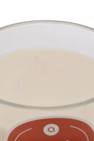 Vela perfumada «Terre d’ambre» 