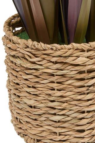Citronnelles artificielles en pot - 96 x 122 x 96 cm - Bordeaux et beige