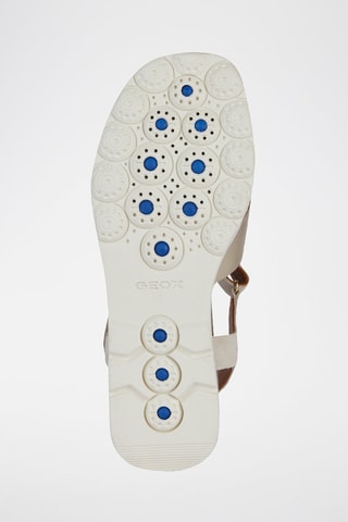 Sandales compensées en cuir Spherica Ec6 - Beige