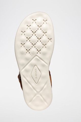 Sandales en nubuck Xan2S - Marron