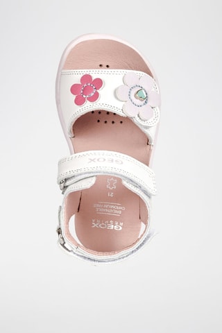 Sandales en cuir Delhi - Blanc