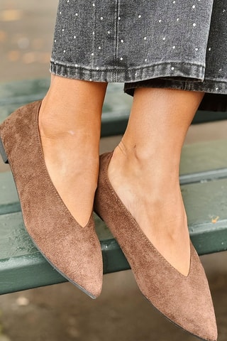 Ballerina’s Hazel - Bruin