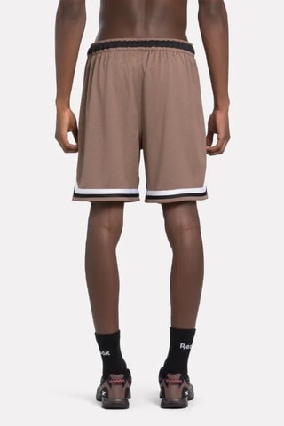 Short - Bruin