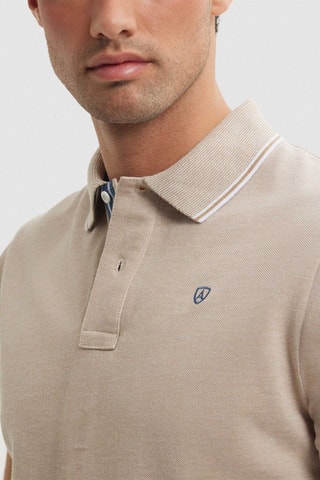 Polo - Marron