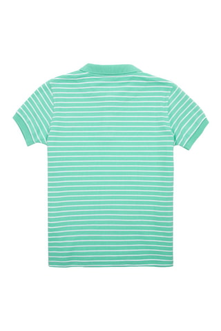 Polo - Vert