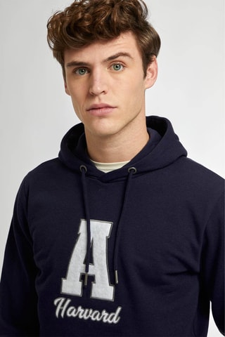 Sweat com capuz - Castanho - Azul-marinho