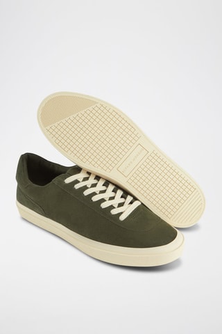 Tennis - Vert