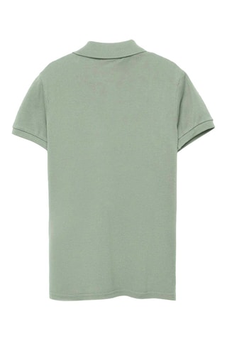 Polo - Vert