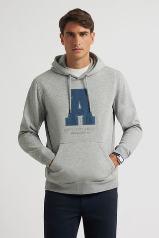 Sweat à capuche - Gris