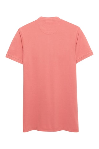 Polo - Corail