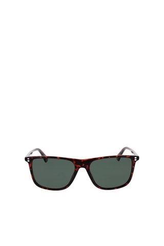 Gafas de sol polarizadas hombre - Categoría 3 - Polaroid - Negro, verde y marrón