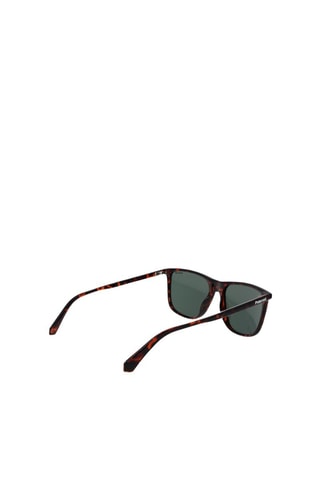 Gafas de sol polarizadas hombre - Categoría 3 - Polaroid - Negro, verde y marrón